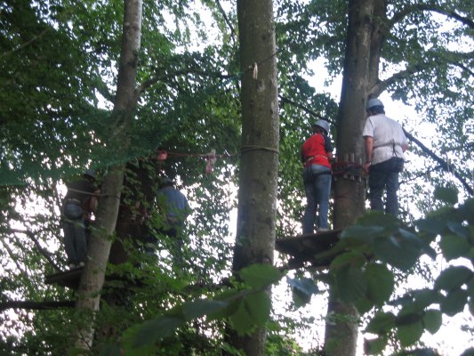 bild(13)